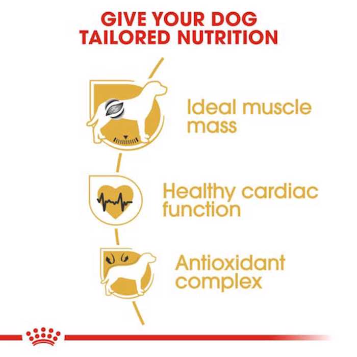 ROYAL CANIN BOXER 3K ΞΗΡΑ ΤΡΟΦΗ ΣΚΥΛΟΥ ROYAL CANIN BOXER 3K XIRA TROFI SKuLOu